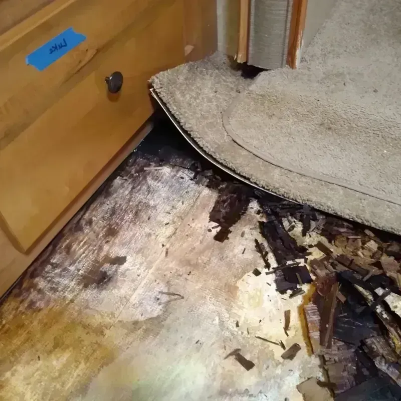 Best Wood Floor Water Damage Service in Altamonte Springs, FL